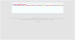 Desktop Screenshot of cnconabudget.com